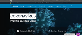 Reprodução da capa do site do coronavírus