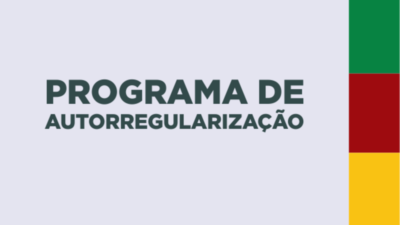 20250220151602programa-autorregularizacao.png